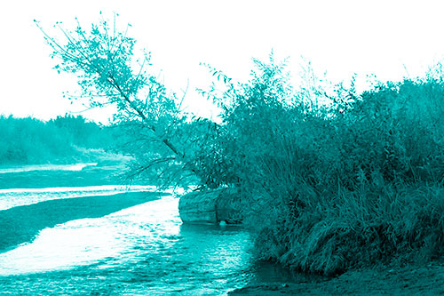 Tilted Fall Tree Over Flowing River (Cyan Shade Photo)