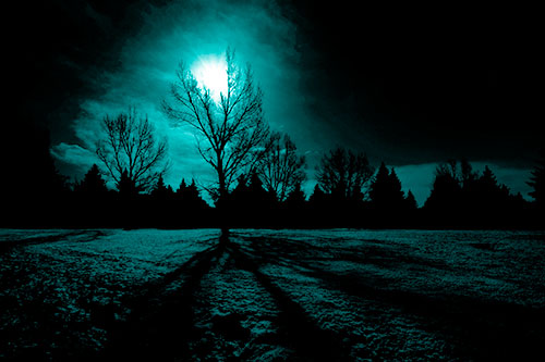 Tree Silhouette Holds Sun Among Darkness (Cyan Shade Photo)