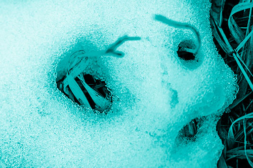 Twisting Grass Eyed Snow Face (Cyan Shade)