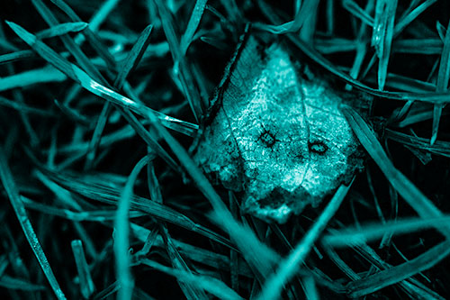 Upset Decaying Leaf Face Hiding Among Twisting Grass Blades (Cyan Shade)