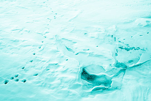 V Shaped Footprint Path Across Frozen Snow Covered River (Cyan Shade Photo)