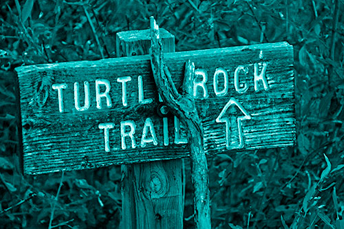 Wooden Turtle Rock Trail Sign (Cyan Shade Photo)