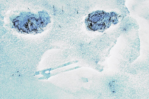 Beak Mouthed Footprint Face Among Snow (Cyan Tint)