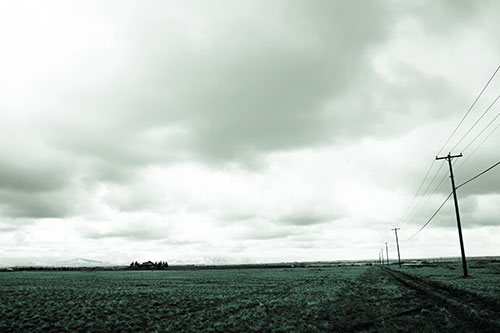 Bleak Clouded Sky Consumes Powerline Prairie (Cyan Tint Photo)