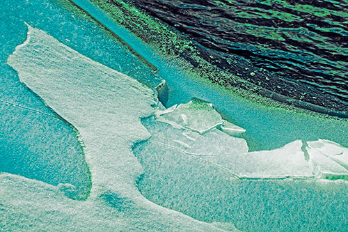 Broken Cracked Ice Along Shoreline (Cyan Tint Photo)