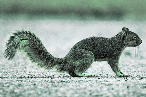 Closed Eyed Squirrel Meditating (Cyan Tint Photo)