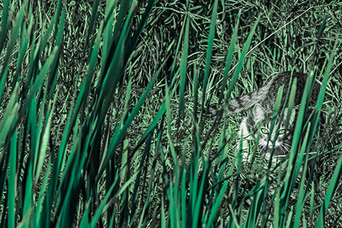 Crouching Cat Hunting Among Tall Reed Grass (Cyan Tint)