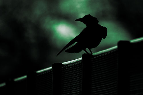 Crow Silhouette Atop Guardrail (Cyan Tint)