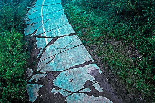 Curving Muddy Concrete Cracked Sidewalk (Cyan Tint Photo)