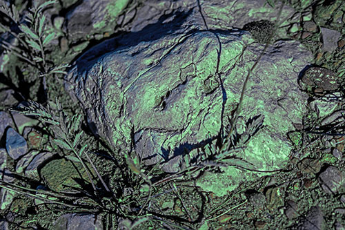 Demonic Leaf Mouthed Rock Face Snarling Among Dirt (Cyan Tint)