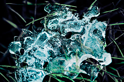 Dismayed Ice Dragon Face Frozen Among Piercing Grass Blades (Cyan Tint)