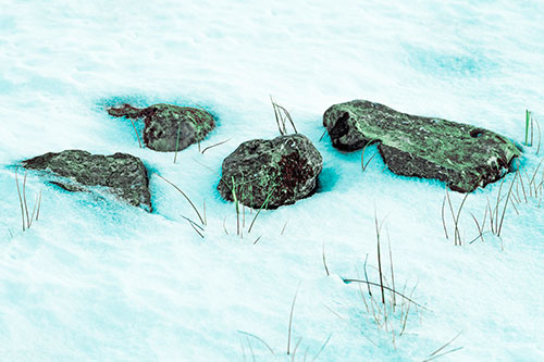 Four Big Rocks Buried In Snow (Cyan Tint Photo)