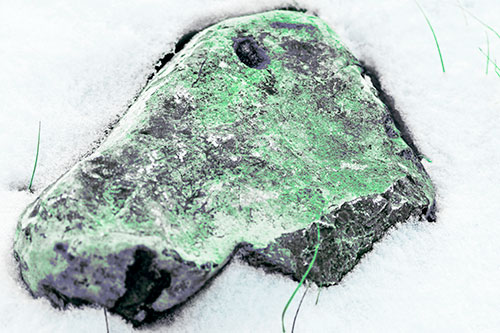 Horse Faced Rock Imprinted In Snow (Cyan Tint Photo)