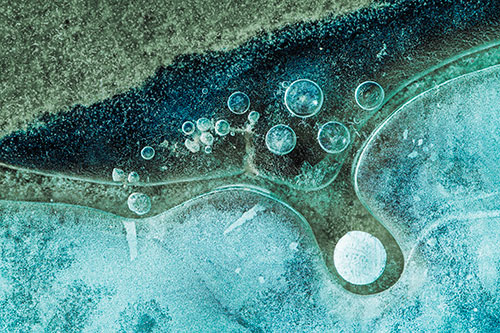 Ice Bubbles Among Frozen Soil Crevice (Cyan Tint)