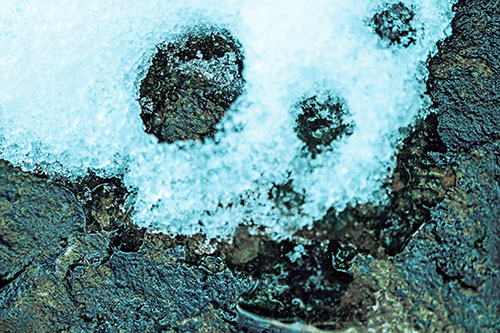 Ice Skull Snow Face Melting Atop Rock (Cyan Tint Photo)