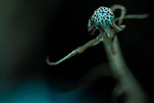 Kung Fu Gumplant Figure Punching Among Wind (Cyan Tint)