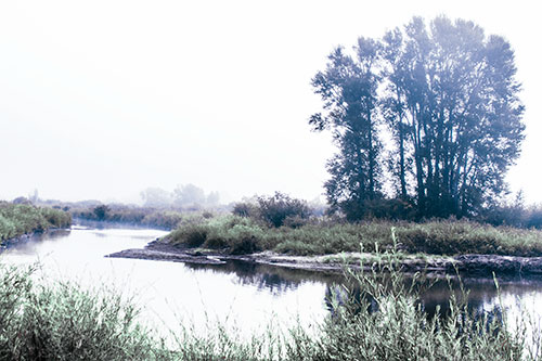 Large Foggy Trees At Edge Of River Bend (Cyan Tint Photo)