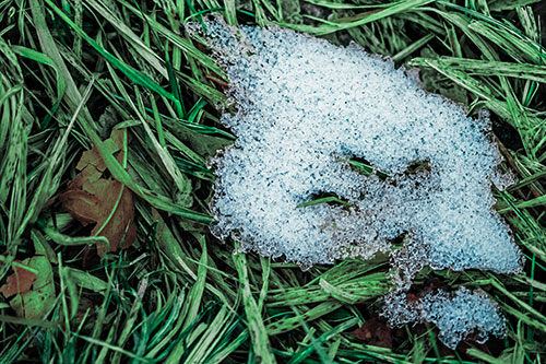 Miserable Slanted Grass Eyed Snow Face (Cyan Tint)