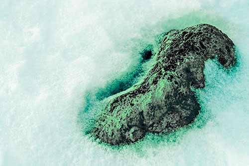 Rock Emerging From Melting Snow (Cyan Tint Photo)