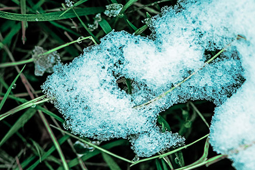 Sad Melting Grass Tangled Snow Face (Cyan Tint)