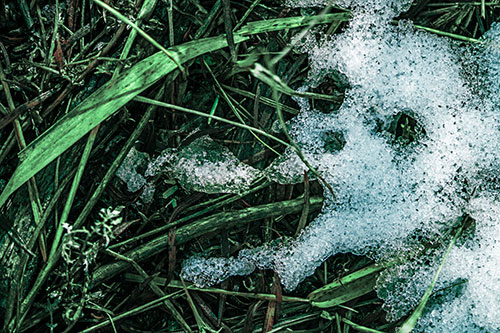Sad Mouth Melting Ice Face Creature Among Soggy Grass (Cyan Tint Photo)