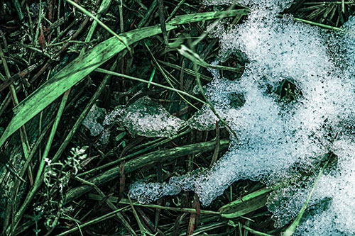 Sad Mouth Melting Ice Face Creature Among Soggy Grass (Cyan Tint)
