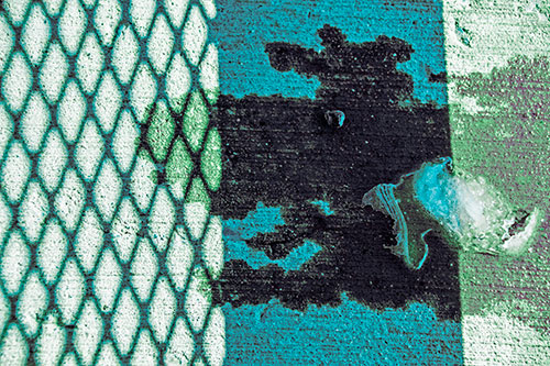 Shadow Obstructs Slobbery Pooch Faced Puddle (Cyan Tint Photo)