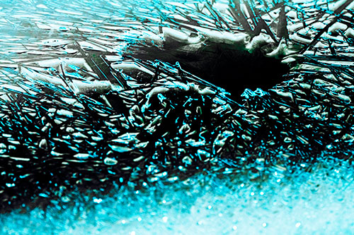 Shattered Ice Crystals Surround Water Hole (Cyan Tint Photo)