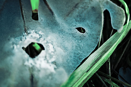 Shocked Peeling Grass Eyed Ice Face (Cyan Tint)