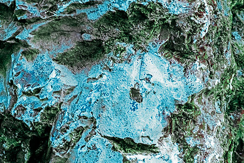 Shut Eyed Rock Face Decomposing (Cyan Tint Photo)