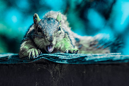 Sleepy Squirrel Yawning Among Rooftop (Cyan Tint)