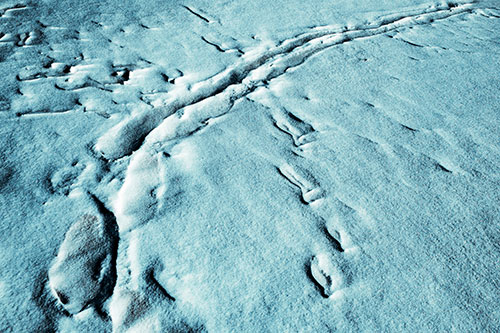 Snow Drifts Cover Footprint Trails (Cyan Tint Photo)