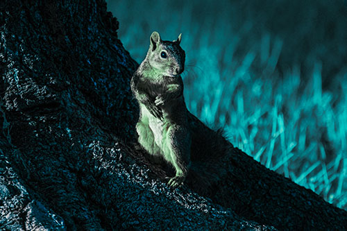 Standing Squirrel Poses Among Sloping Tree Stump (Cyan Tint)