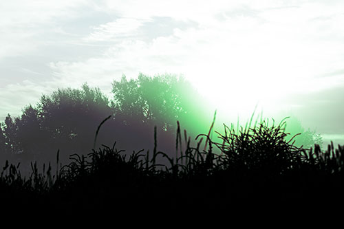 Sun Rises Beyond Fog Filled Treeline (Cyan Tint Photo)