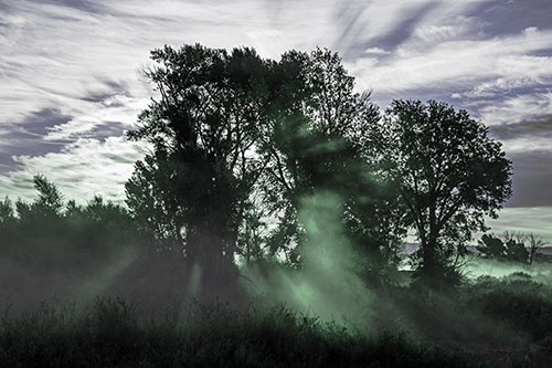 Sunlight Rays Burst Through Fog Surrounded Trees (Cyan Tint Photo)