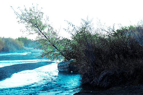 Tilted Fall Tree Over Flowing River (Cyan Tint Photo)
