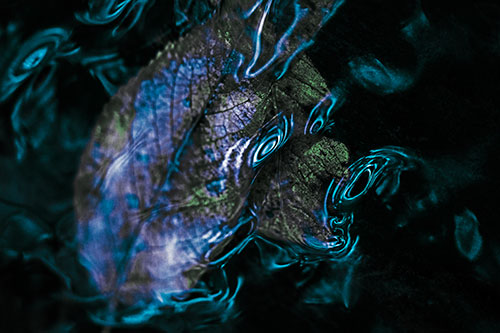 Water Ripple Faced Leaf In Submerged Trance (Cyan Tint)