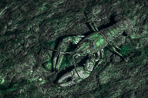 Water Submerged Crayfish Crawling Upstream (Cyan Tint)
