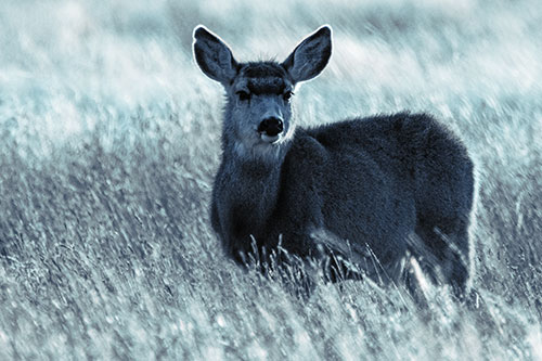White Tailed Deer Leg Deep Among Grass (Cyan Tint Photo)