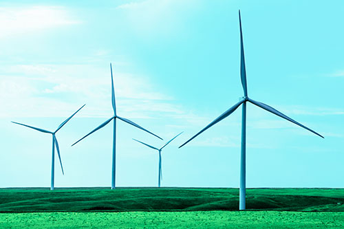 Wind Turbines Standing Tall Among Grassy Pasture (Cyan Tint)