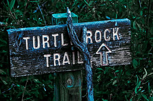 Wooden Turtle Rock Trail Sign (Cyan Tint Photo)