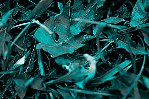 Angry Rotting Triangular Leaf Face (Cyan Tone)