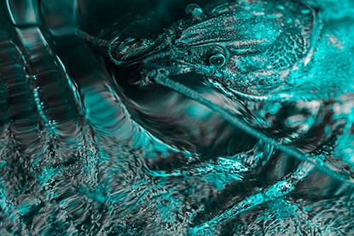 Crayfish Swims Against Rippling Water (Cyan Tone)