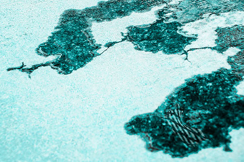 Creeping Water Puddle Across Concrete Pavement (Cyan Tone)