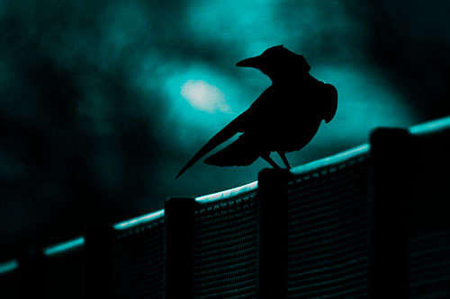 Crow Silhouette Atop Guardrail (Cyan Tone)