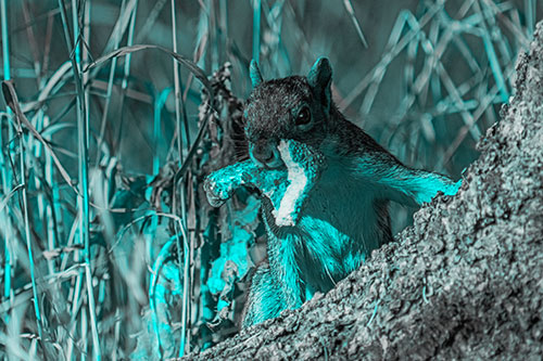 Curious Pizza Crust Squirrel (Cyan Tone)