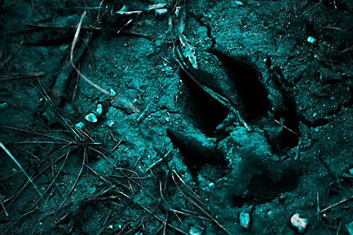 Deep Muddy Dog Footprint (Cyan Tone Photo)