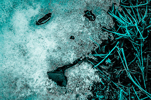 Depressed Snow Face Frowning Among Grass (Cyan Tone)