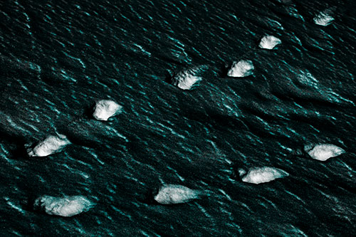 Distancing Snow Footprints (Cyan Tone)