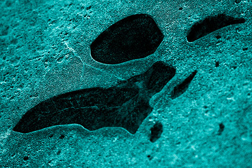 Distorted Skull Face Within Frozen Ice (Cyan Tone Photo)